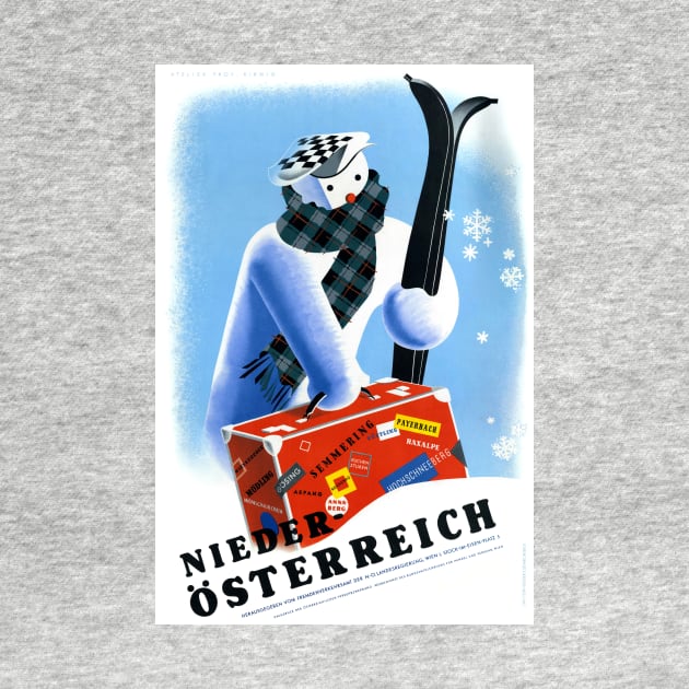 Vintage Travel Poster Austria Niederösterreich by vintagetreasure